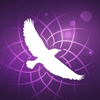 DreamCatcherExperience - DREAM CATCHER EXPERIENCE SRL