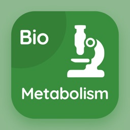 Metabolism Quiz