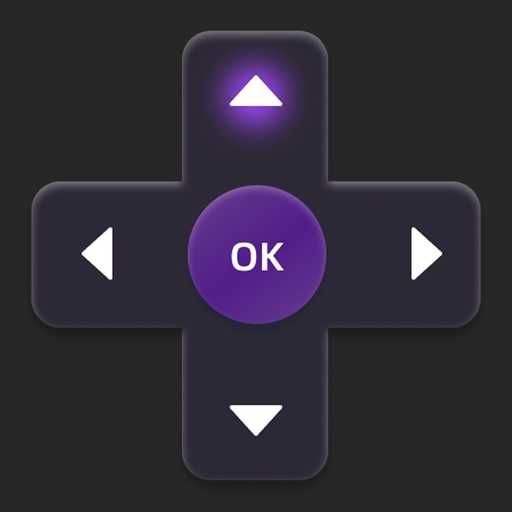 TV Remote - Universal Pro