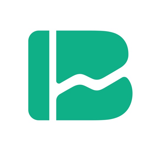 BeanLedger - 极简复式记账