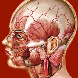 Atlante di Anatomia