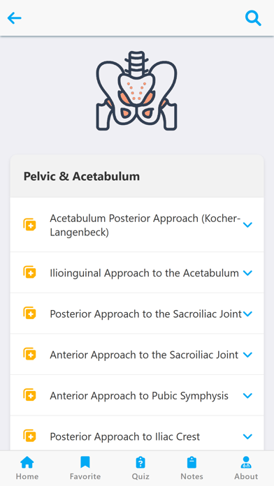 Orthopedic Surgery Approaches Screenshot