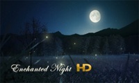 Enchanted Night HD