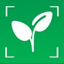 Get Plant Identifier AI Plant Care for iOS, iPhone, iPad Aso Report