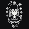 Albania Travel Companion icon