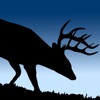 Cuddeback icon