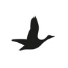 Beymen Club icon
