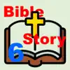 BibStory6 problems & troubleshooting and solutions