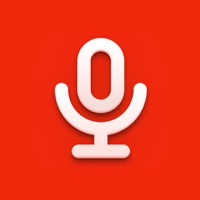 Voice Over Video: Voiceovers