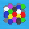 Hexa Sorting : Hexa Puzzle icon