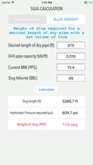 slug calculation iphone screenshot 2