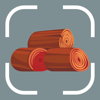 Wood Identifier: AI Scanner - Richard Schoerner