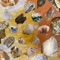 "Minerals & rocks" application describes various minerals, their properties and their formation