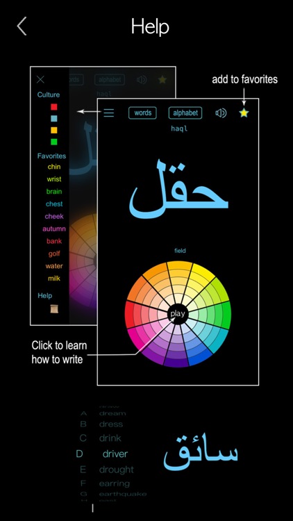 Arabic Words & Writing screenshot-5