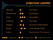 everyday looper айпад изображения 2