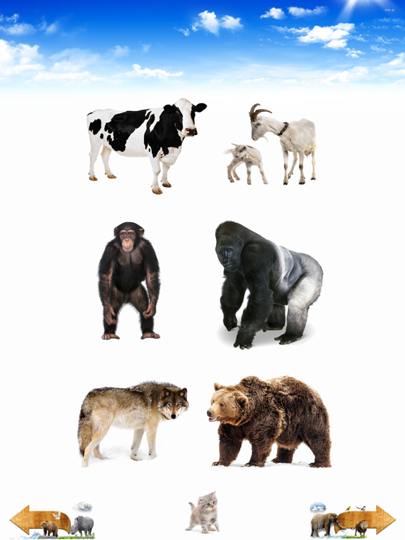 Screenshot #5 pour Amazing Animal Sounds