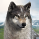 Wolf Game: Wild Animal Wars