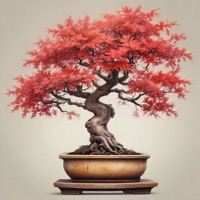 Little Bonsai