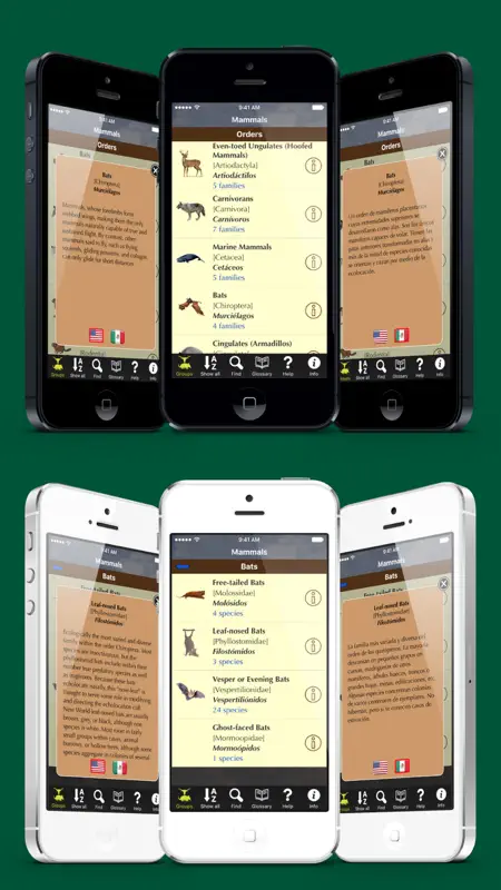 Alaska Mammals screenshot 4 of 5