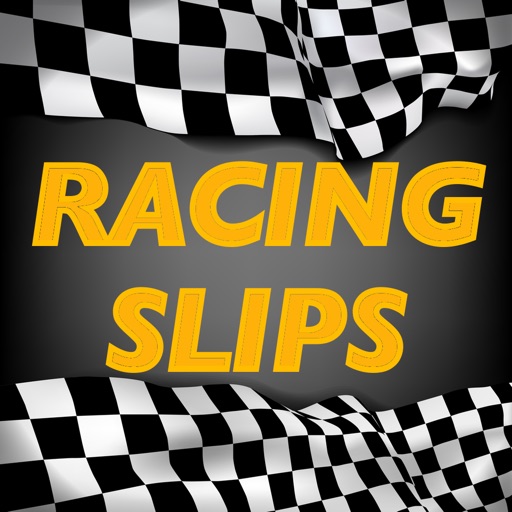 Racing Slips icon