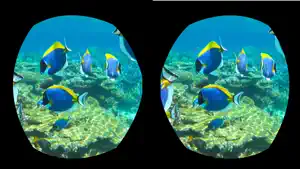 360° VR Player screenshot 1
