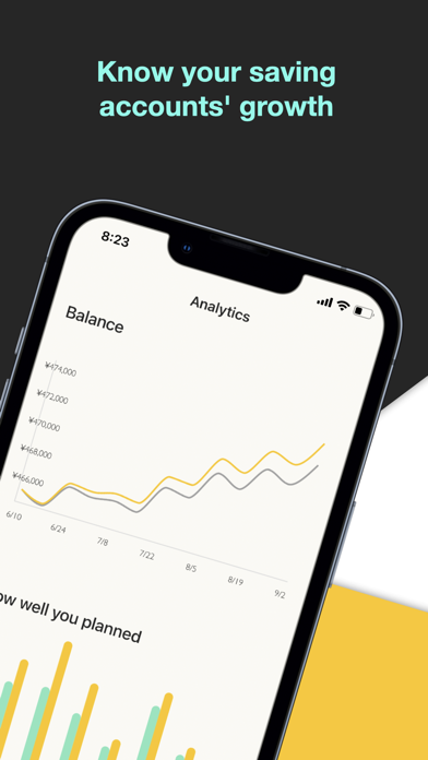 Budget Plan - Forecast & Track Screenshot