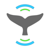 Whale Alert - Conserve.IO