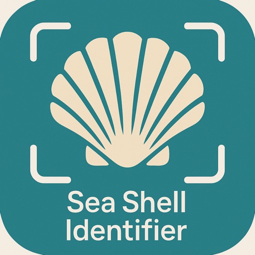 Sea Shell Identifier – AI Scan