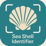 Get Sea Shell Identifier – AI Scan for iOS, iPhone, iPad Aso Report
