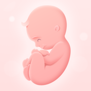 Pregnancy Tracker・My Pregnancy