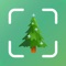 Discover & Identify Trees and Plants Instantly with Advanced Technology