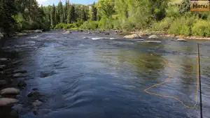 Fly Fishing Simulator HD screenshot 4
