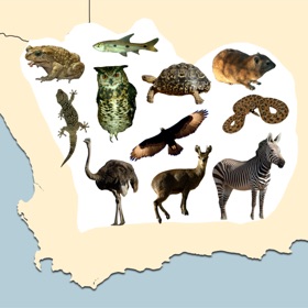 لقطات (7) Stuarts Natural History Guide