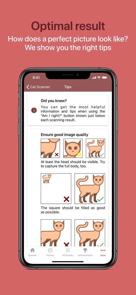 Cat Scanner - Education App | MWM