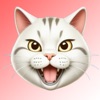 Prank Call: Call Voice Changer icon