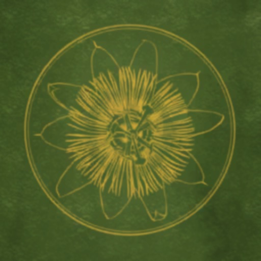Pocket Oasis icon