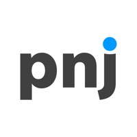 Pensacola News Journal logo