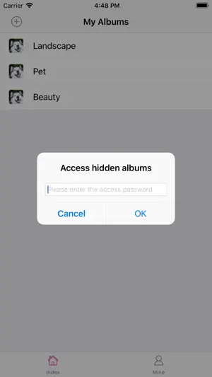 Origin Album - encrypted album screenshot 1