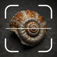 Fossil Identifier Scan Fossil