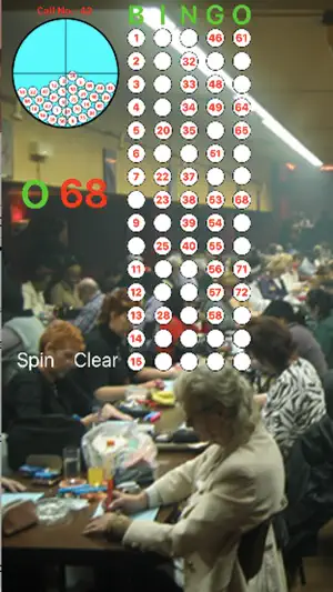 Bingo-Master screenshot 1