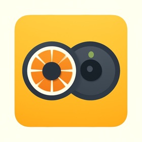 Orange Camera Dual