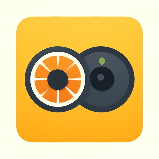 Orange  Camera Dual
