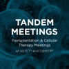 TANDEM 2025 icon