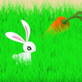 Knight Move Festive Challenge