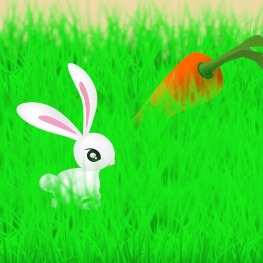 Knight Move Festive Challenge