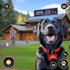 Animal Shelter Cat Rescue Game icon