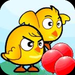 愤怒的小黄鸡