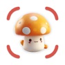 Get Mushroom Identifier: MushCam for iOS, iPhone, iPad Aso Report