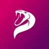 Sondago - Make new friends icon