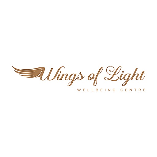 Wings of Light icon